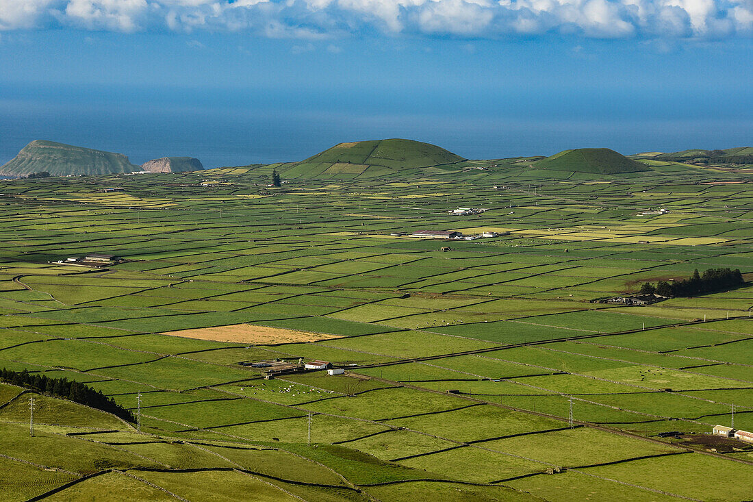 Volcanic cinder cones in Cinque Picos caldera, seen from Serra do Cume, Terceira island, Azores, Portugal, Atlantic, Europe