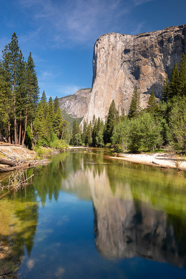 El Capitan reflected in the River Merced, Yosemite Natiional Park, UNESCO World Heritage Site, California, United States of America, North America