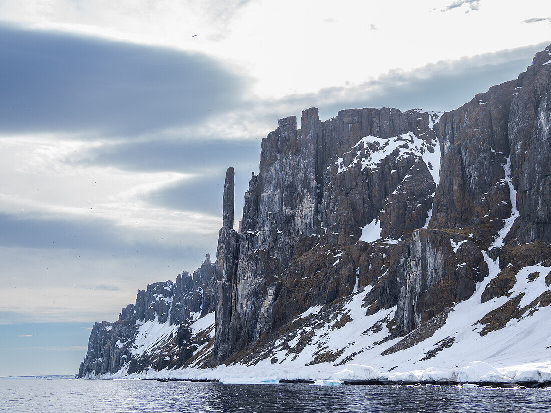 Die berühmten Vogelfelsen am Alkefjellet, was wörtlich übersetzt "Berg der Trottellummen" bedeutet, Svalbard, Norwegen, Europa