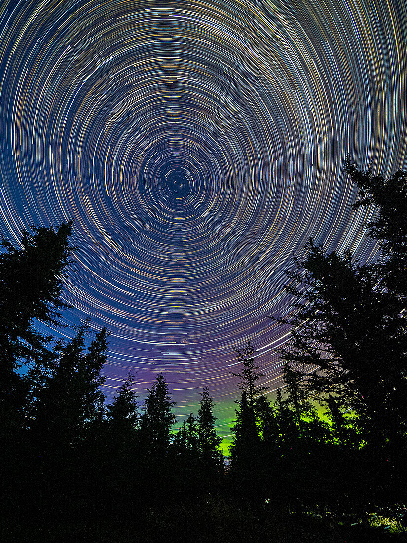 Astrofotografie mit Langzeitbelichtung, die die Sterne und das Nordlicht im Denali-Nationalpark zeigt, Alaska, Vereinigte Staaten von Amerika, Nordamerika