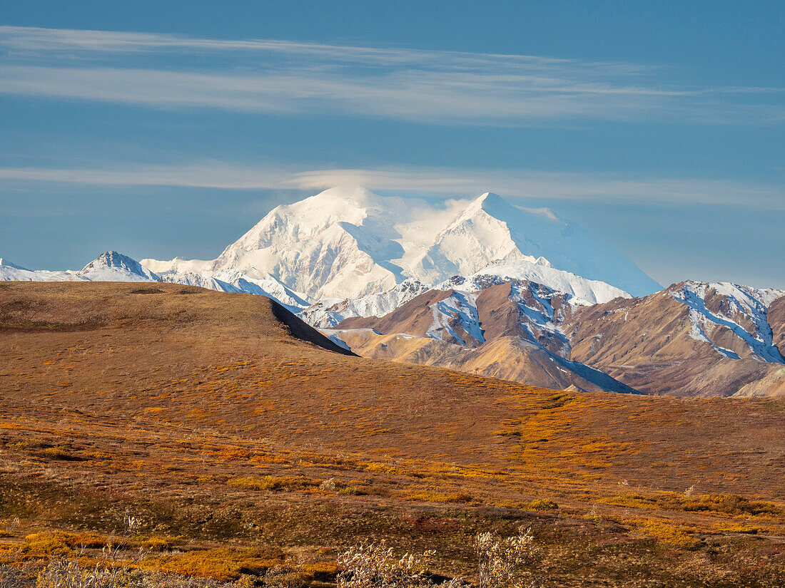 Ein Blick auf den höchsten Berg Nordamerikas, den schneebedeckten Denali, Denali National Park, Alaska, Vereinigte Staaten von Amerika, Nordamerika