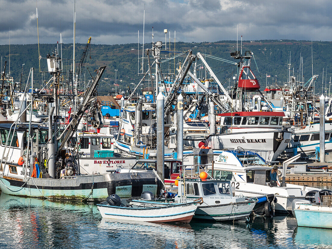 Kommerzielle Fischerboote aller Art und Größe im Homer Harbor in der Kachemak Bay, Kenai-Halbinsel, Alaska, Vereinigte Staaten von Amerika, Nordamerika
