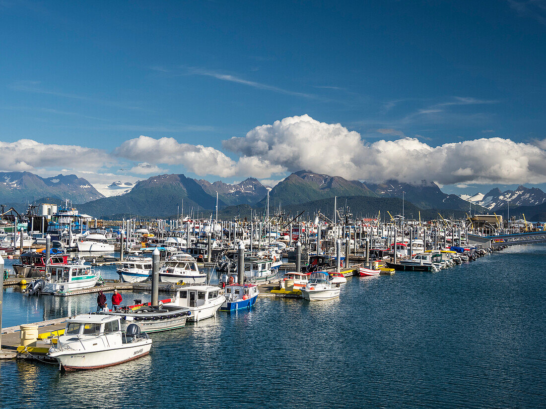 Kommerzielle Fischerboote aller Art und Größe im Homer Harbor in der Kachemak Bay, Kenai-Halbinsel, Alaska, Vereinigte Staaten von Amerika, Nordamerika