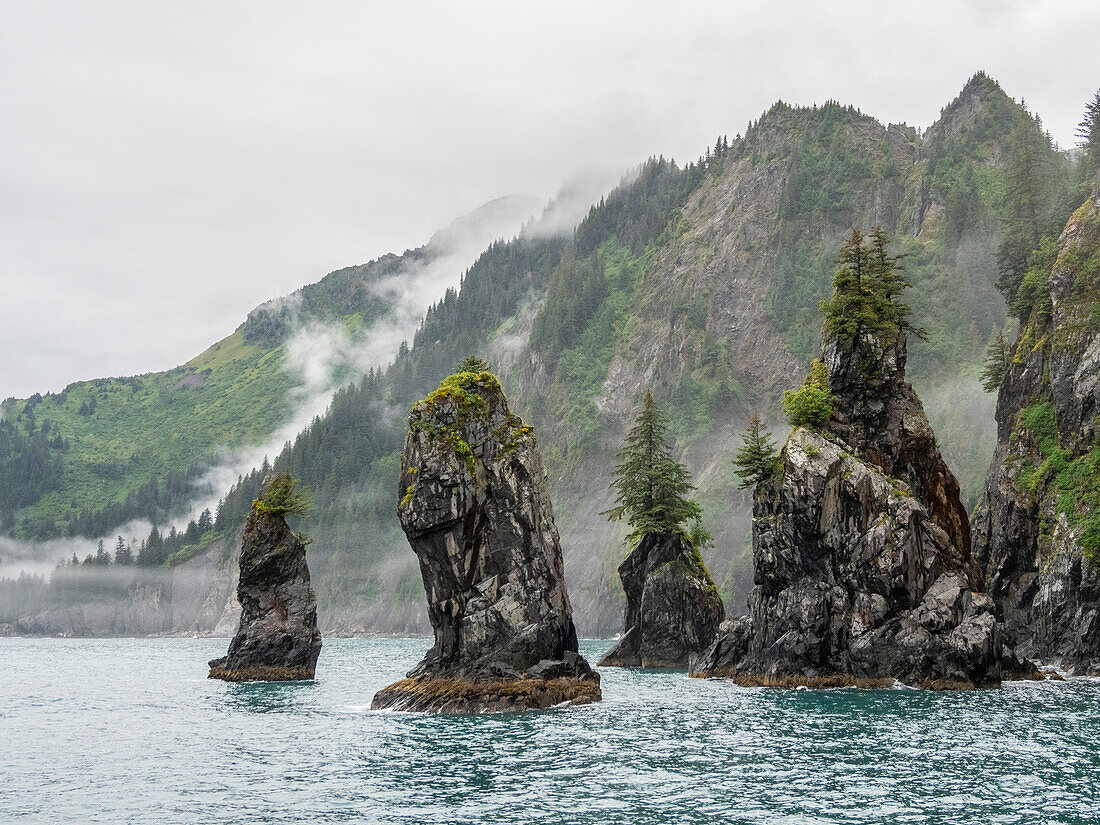 Ein Blick auf Spire Cove in Resurrection Bay im Kenai Fjords National Park, Alaska, Vereinigte Staaten von Amerika, Nordamerika