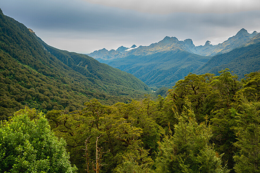 Wald und Berge des Fiordland-Nationalparks, UNESCO-Weltnaturerbe, Südinsel, Neuseeland, Pazifik