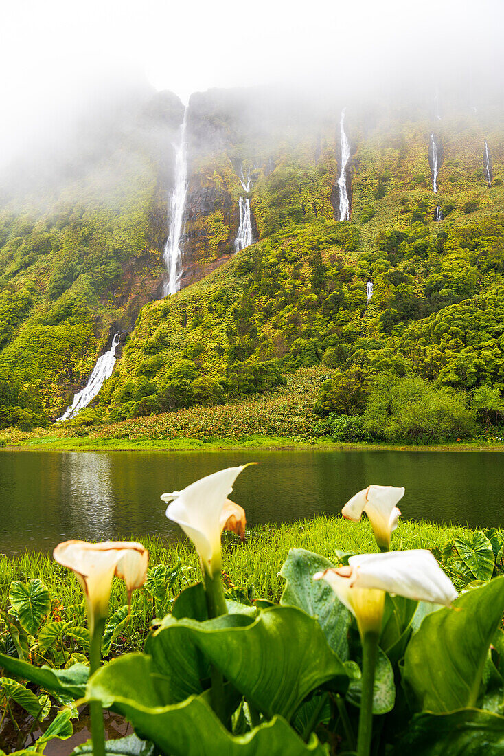 Nebliger Blick auf den malerischen Wasserfall von Ribeira do Ferreiro und seine Spiegelung im See mit Blumen, Insel Flores, Azoren, Portugal, Atlantik, Europa