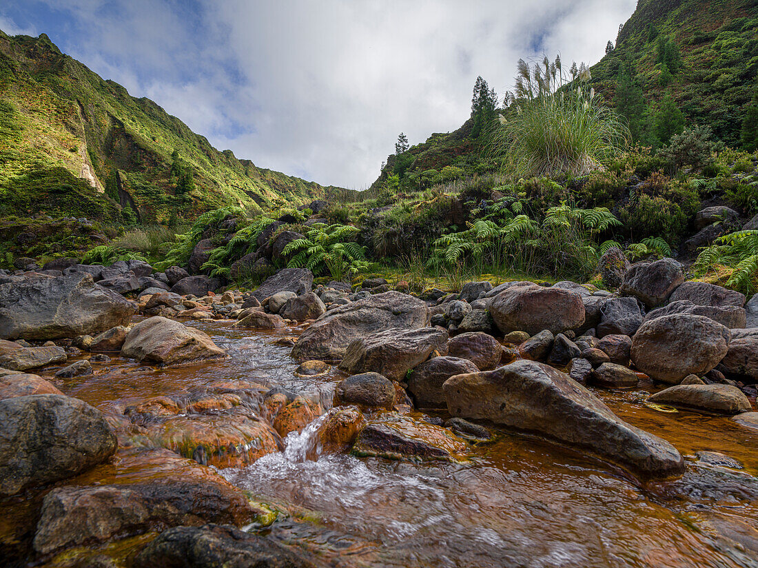 Vale das Lambadas, a remote valley with a river full of minerals and iron (rusty color), Sao Miguel island, The Azores, Portugal, Atlantic