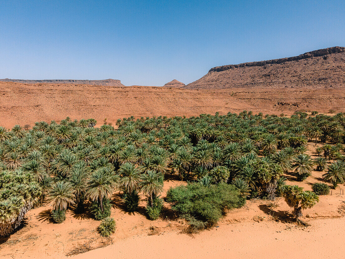 Die Oase von Diouk, Mauretanien, Sahara-Wüste, Westafrika, Afrika