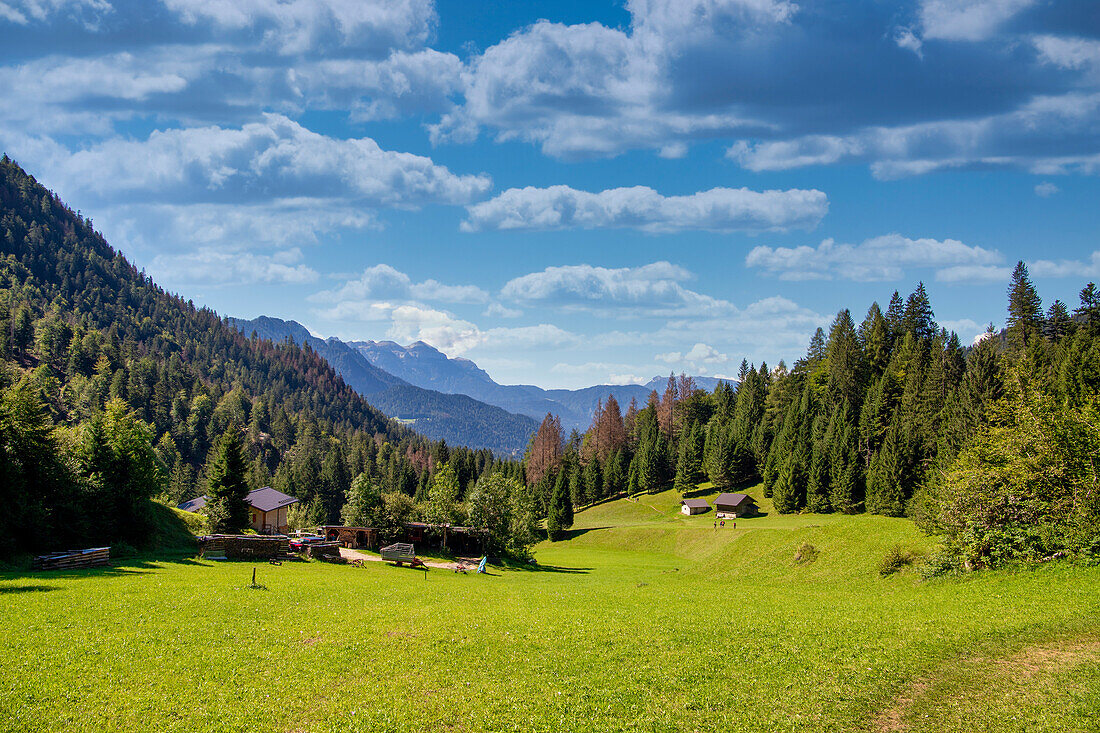 Dolomites, Canali valley, Tonadico, Trentino, Italy, Europe