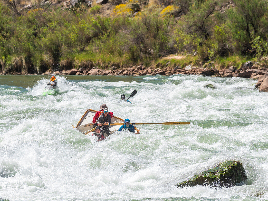 Kommerzielles Schlauchboot fährt auf der Deubendorff Rapid, kurz nach Flussmeile 132, Grand Canyon National Park, Arizona, Vereinigte Staaten von Amerika, Nordamerika