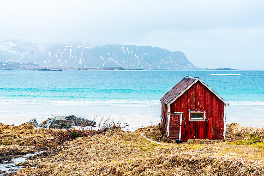 Traditionelle Rorbu-Hütte am Strand von Ramberg mit Blick auf das kristallklare Meer, Lofoten-Inseln, Norwegen, Skandinavien, Europa