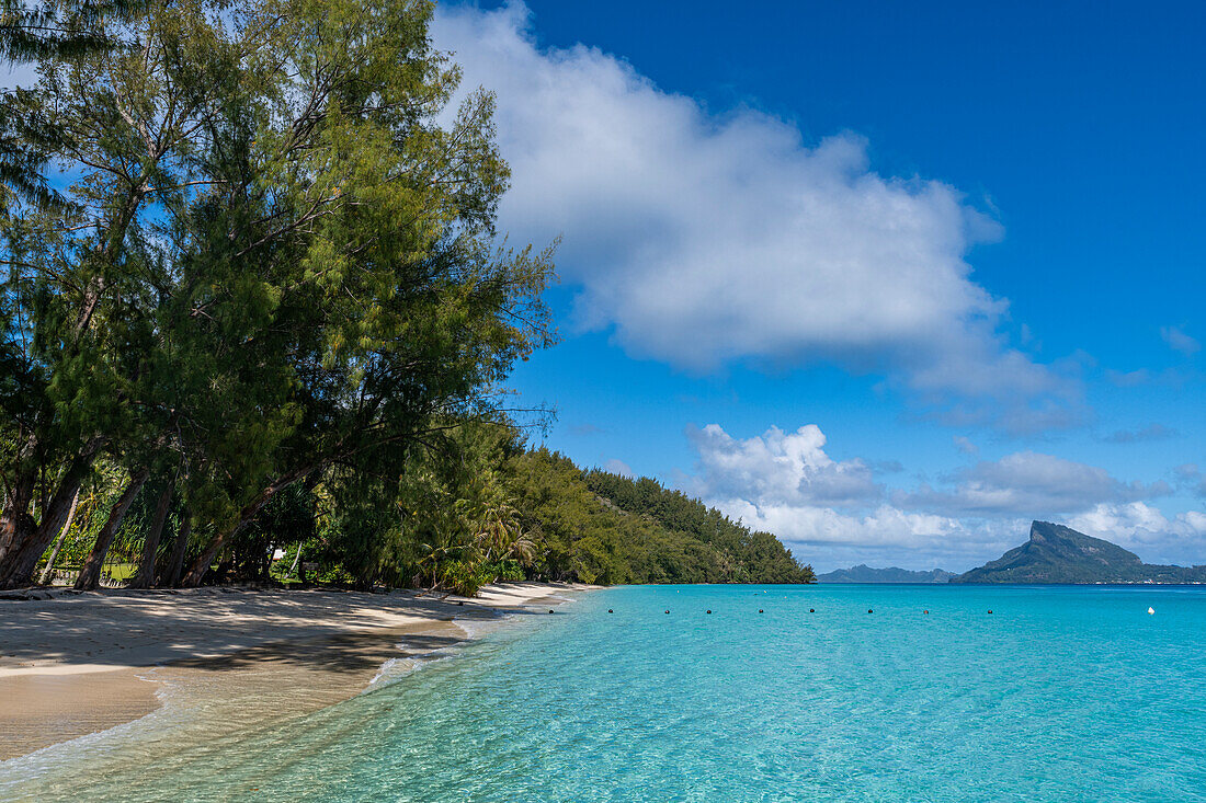 White sand beach, Aukena island, Gambier archipelago, French Polynesia, South Pacific, Pacific