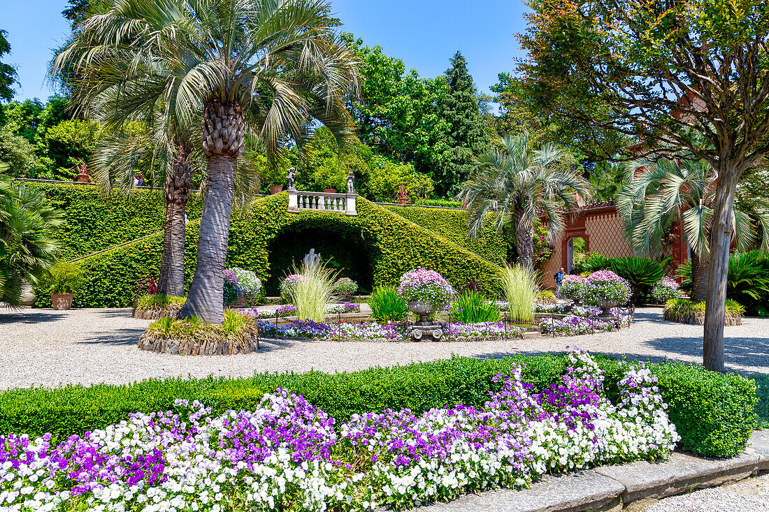 Garten von Isola Madre, Lago Maggiore, VCO-Gebiet, Piemont, Italienische Seen, Italien, Europa