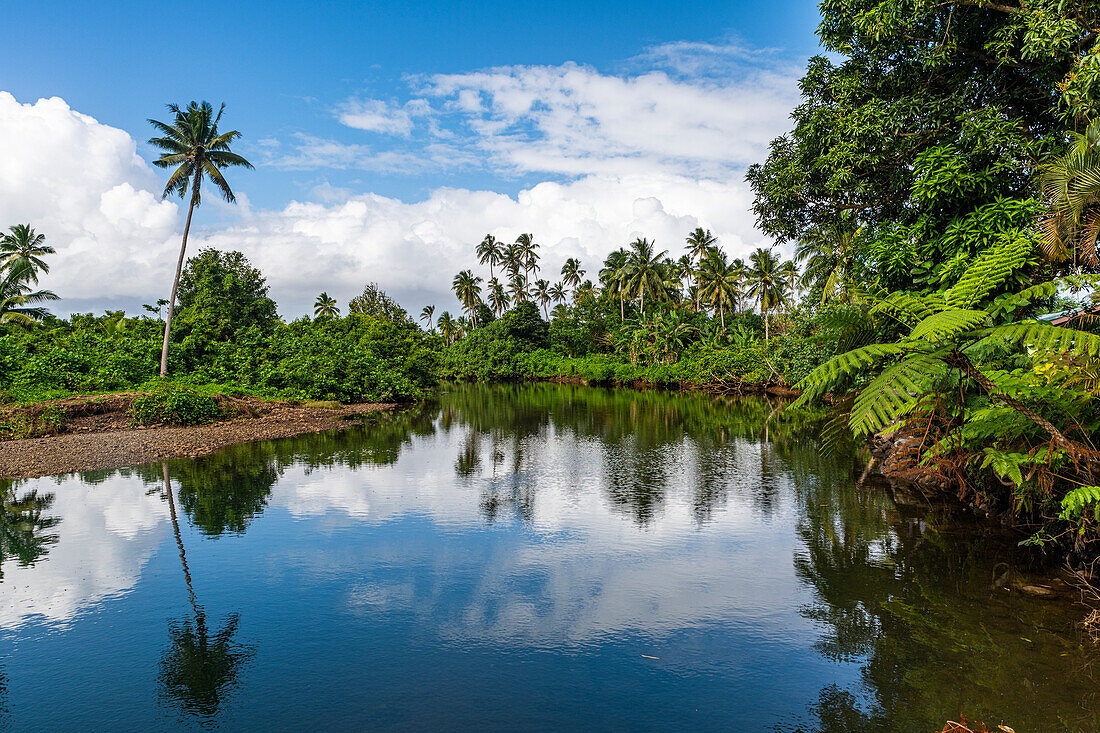 Üppiger Dschungel im Bouma-Nationalpark, Taveuni, Fidschi, Südpazifik, Pazifik