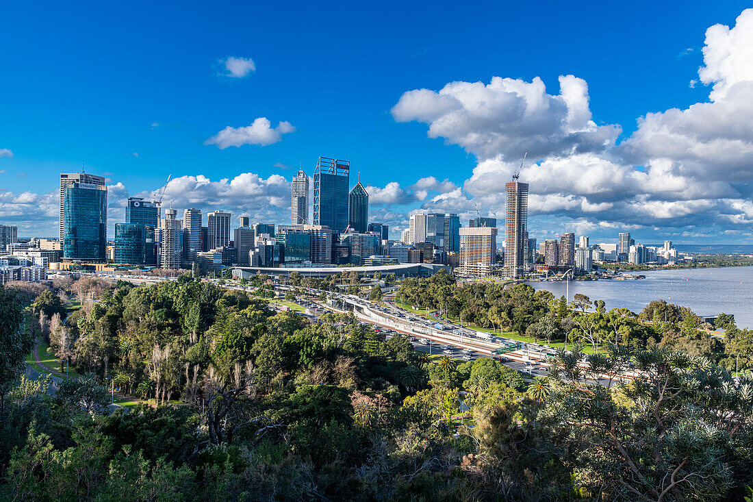 Blick über das Geschäftsviertel vom Kings Park und Botanischen Garten, Perth, Westaustralien, Australien, Pazifik