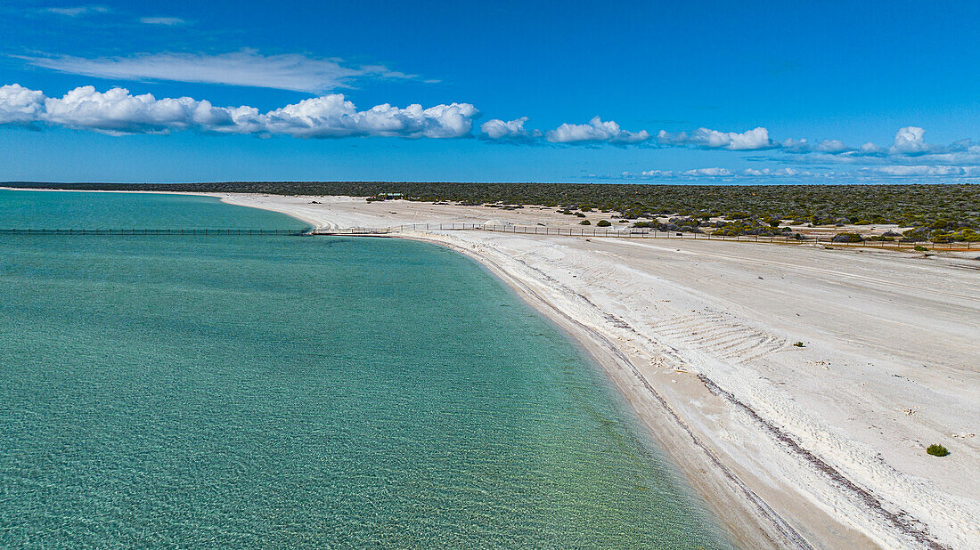 Aerial of Shell Beach, Shark Bay, UNESCO World Heritage Site, Western Australia, Australia, Pacific