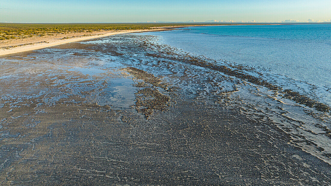 Luftaufnahme der Stromatolithen des Hamelin Pools, Shark Bay, UNESCO-Welterbe, Westaustralien, Australien, Pazifik