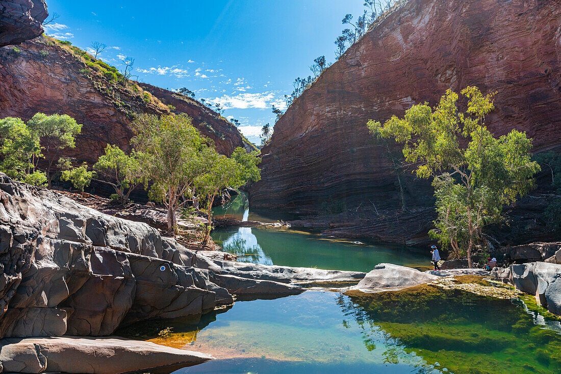 Pool in Hammersley Gorge, Karijini National Park, Western Australia, Australia, Pacific