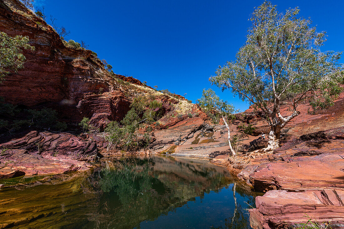 Teich in der Hammersley-Schlucht, Karijini-Nationalpark, Westaustralien, Australien, Pazifik