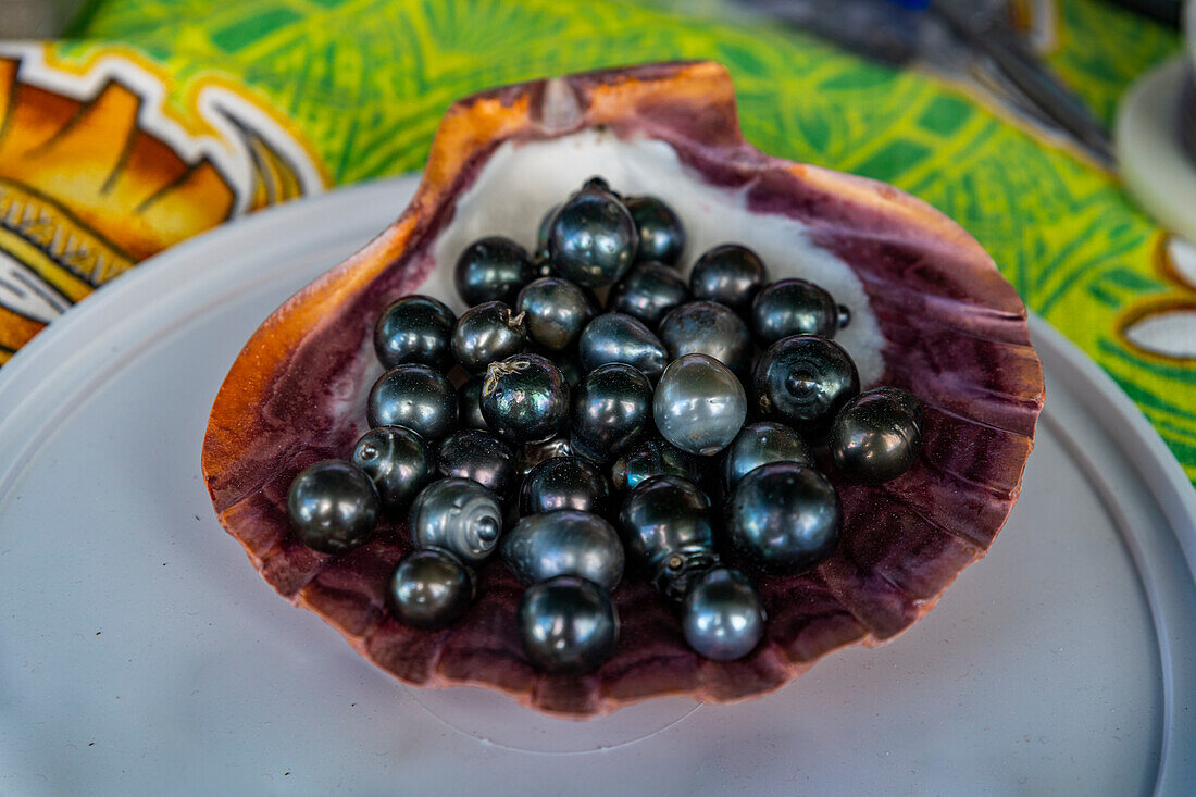 Schwarze Perlen auf der Perlenfarm, Dorf Rikitea, Mangareva, Gambier-Archipel, Französisch Polynesien, Südpazifik, Pazifik