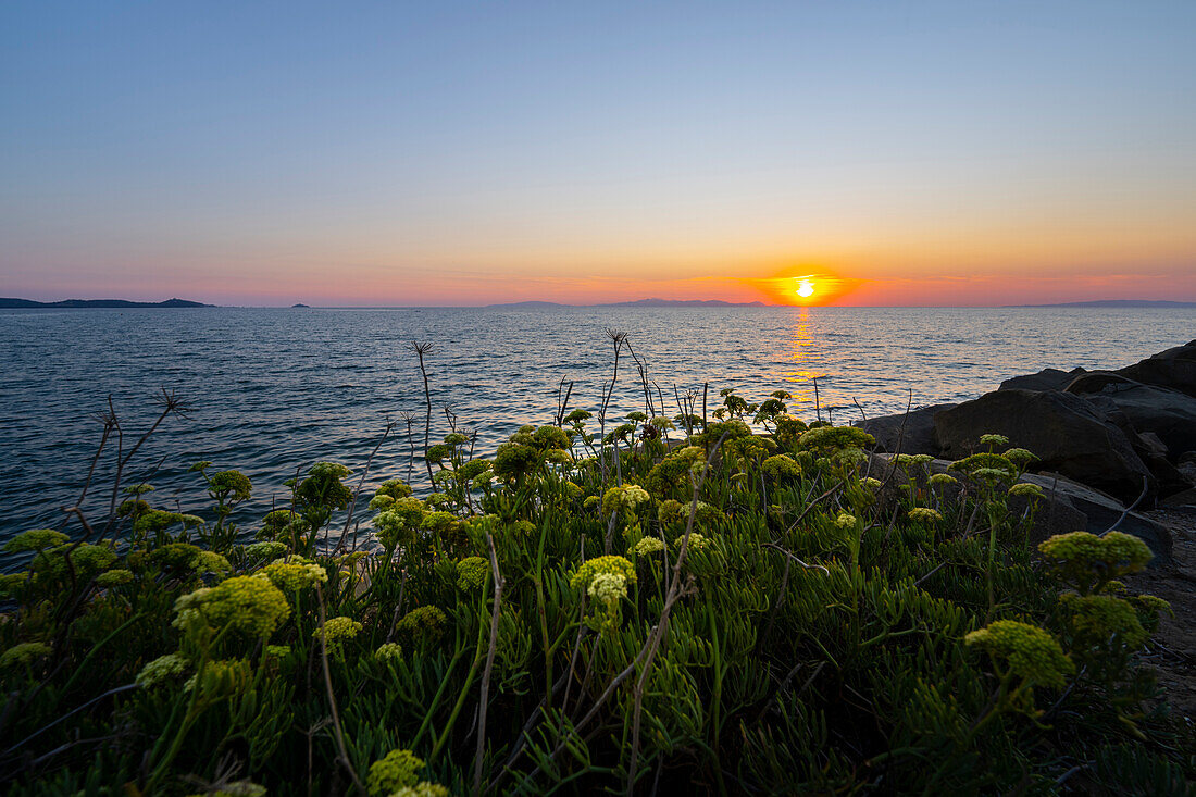 Cala Civetta bei Sonnenuntergang, Punta Ala, Toskana, Italien, Europa
