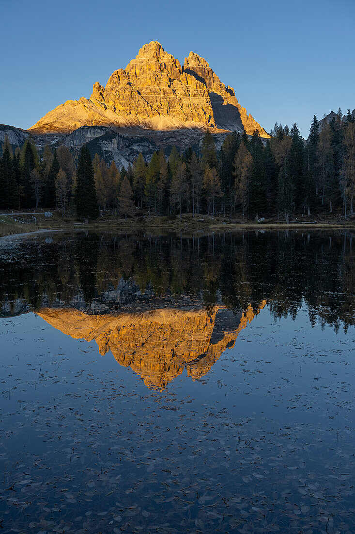 Drei Zinnen reflected in the water at sunset, Lake Antorno, Dolomites, Veneto, Italy, Europe