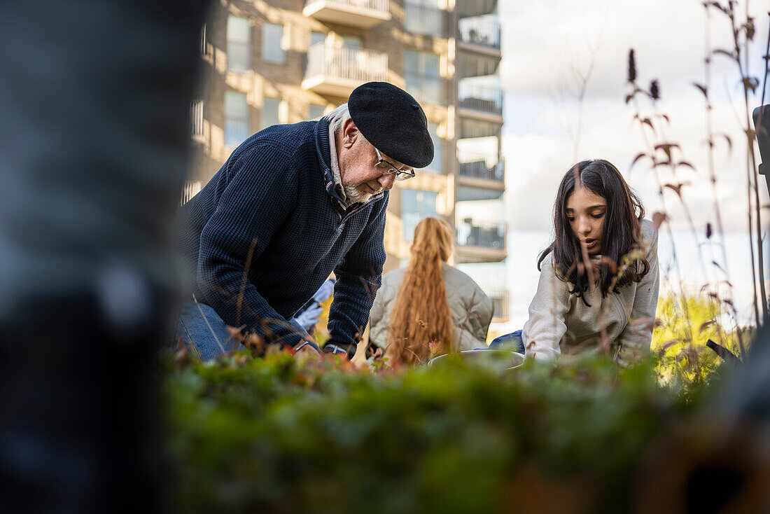 Group of neighbors gardening together in courtyard