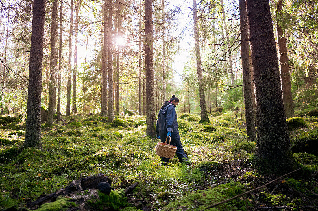 Frau beim Pilzesammeln im Wald