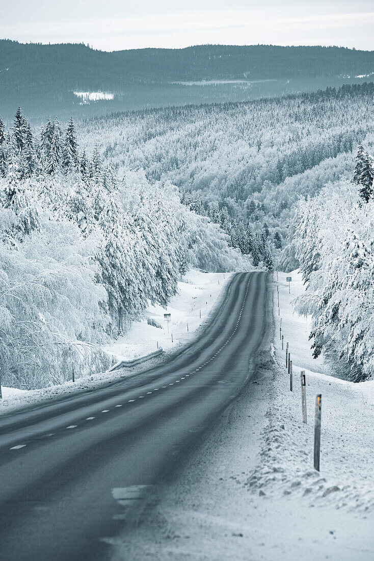 Blick auf eine winterliche Straße