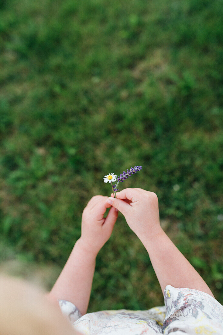 Girl holding daisy and lavender flower