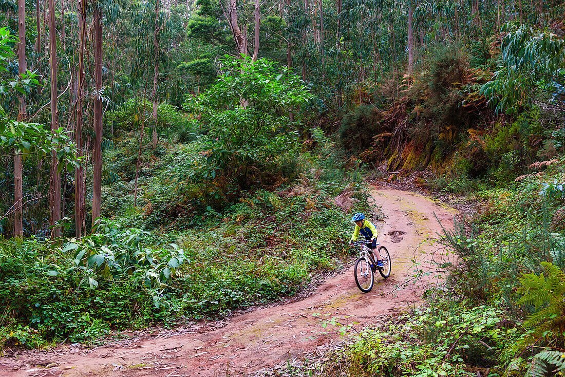 Boy mountain biking through forest
