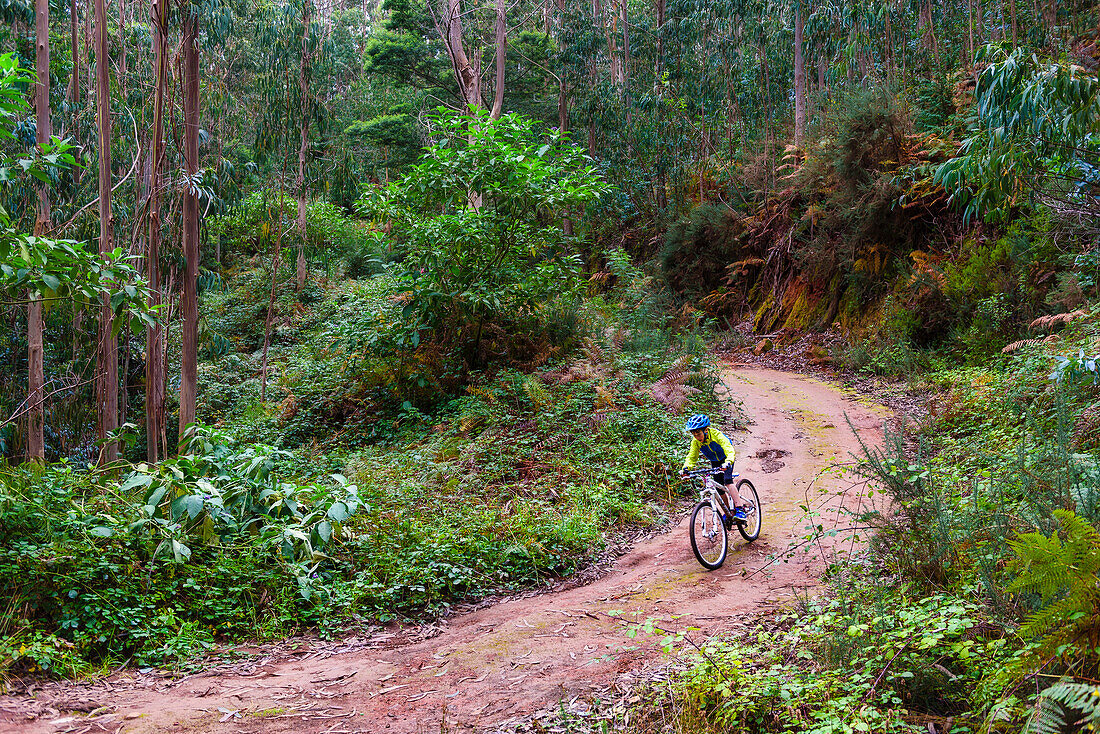 Junge fährt mit dem Mountainbike durch den Wald