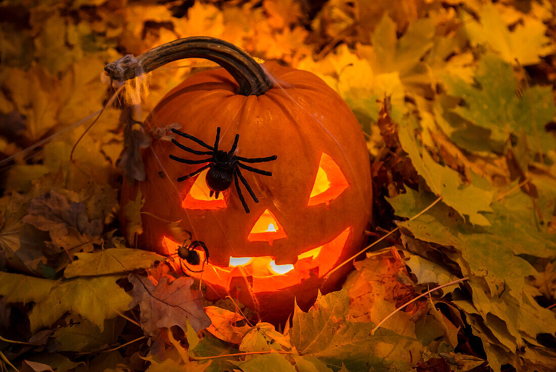 Illuminated Jack-o-lantern