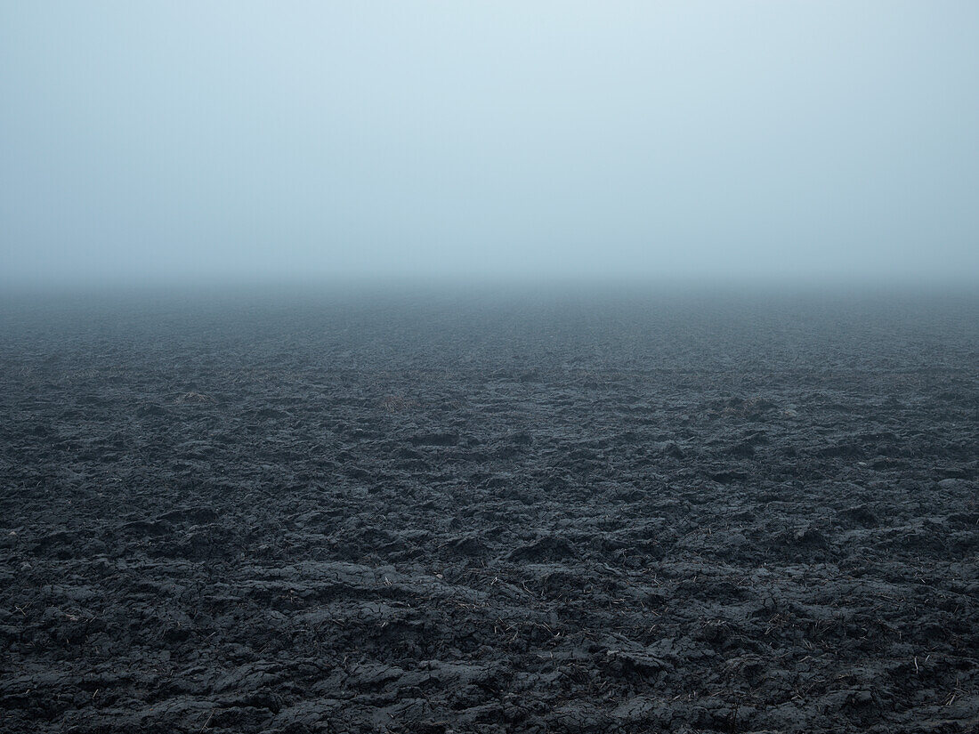 Nebel über einem Feld