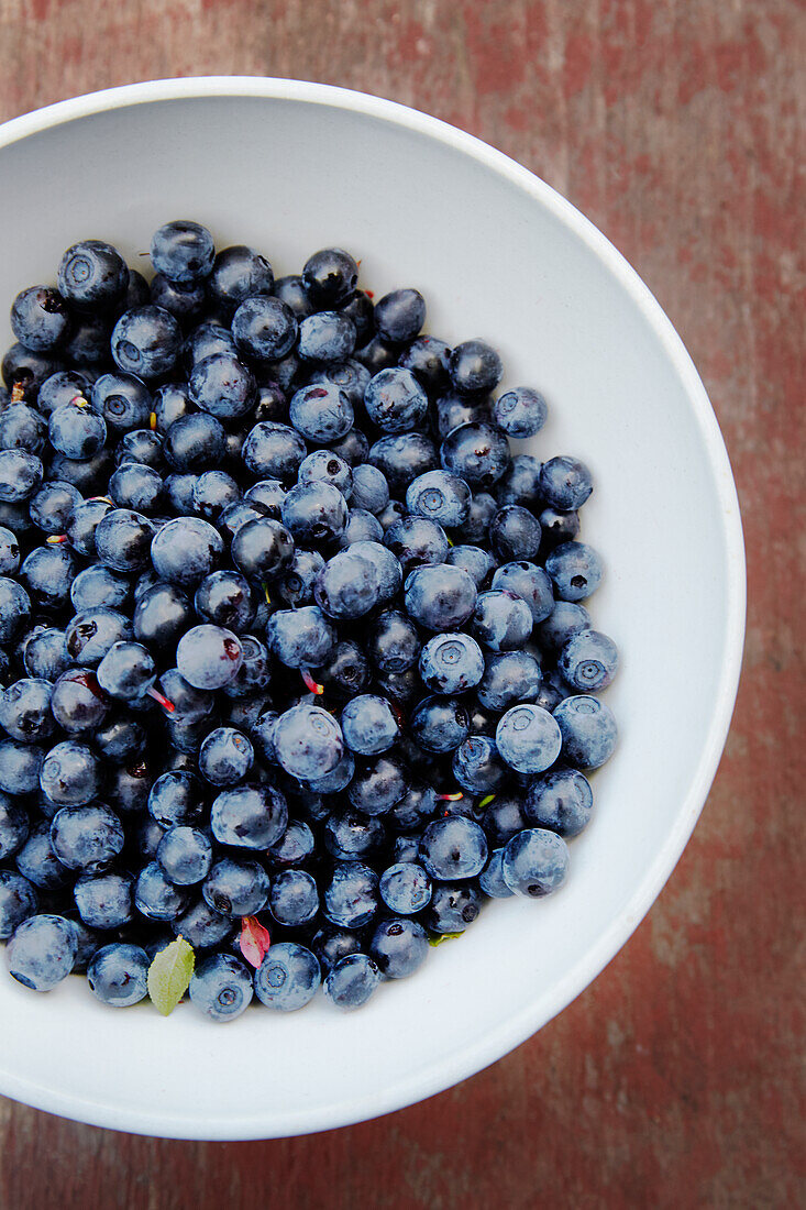 Blaubeeren in Schale