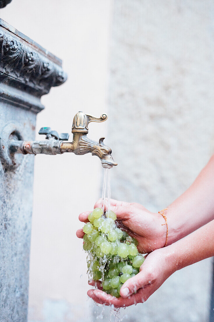 Woman washing bunch of white grapes