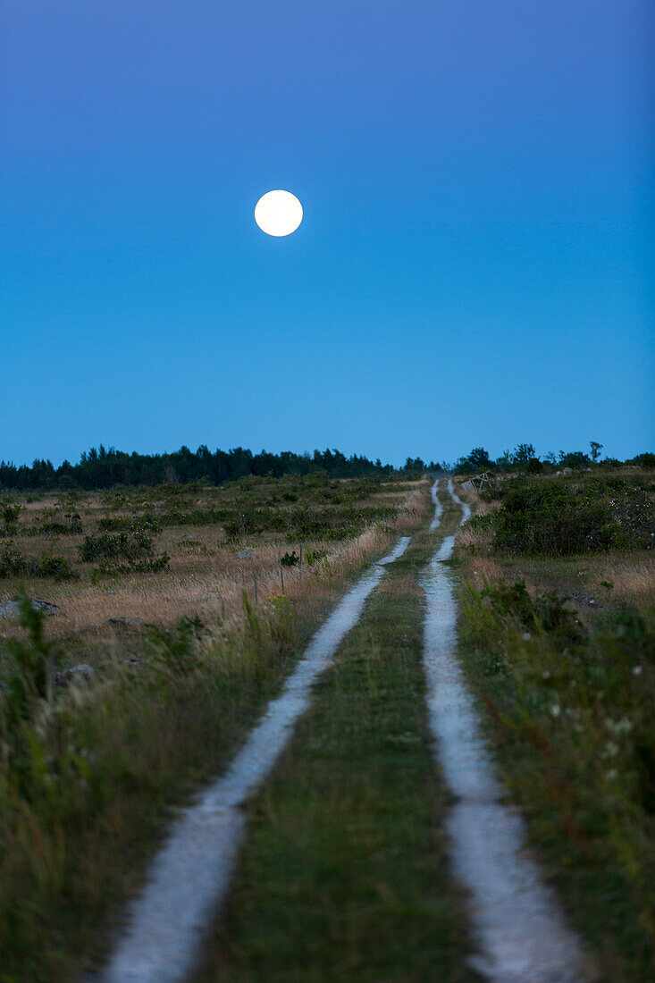 Landscape with dirt track