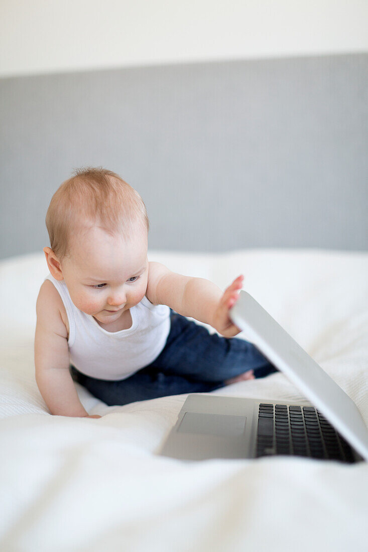 Baby boy looking at laptop