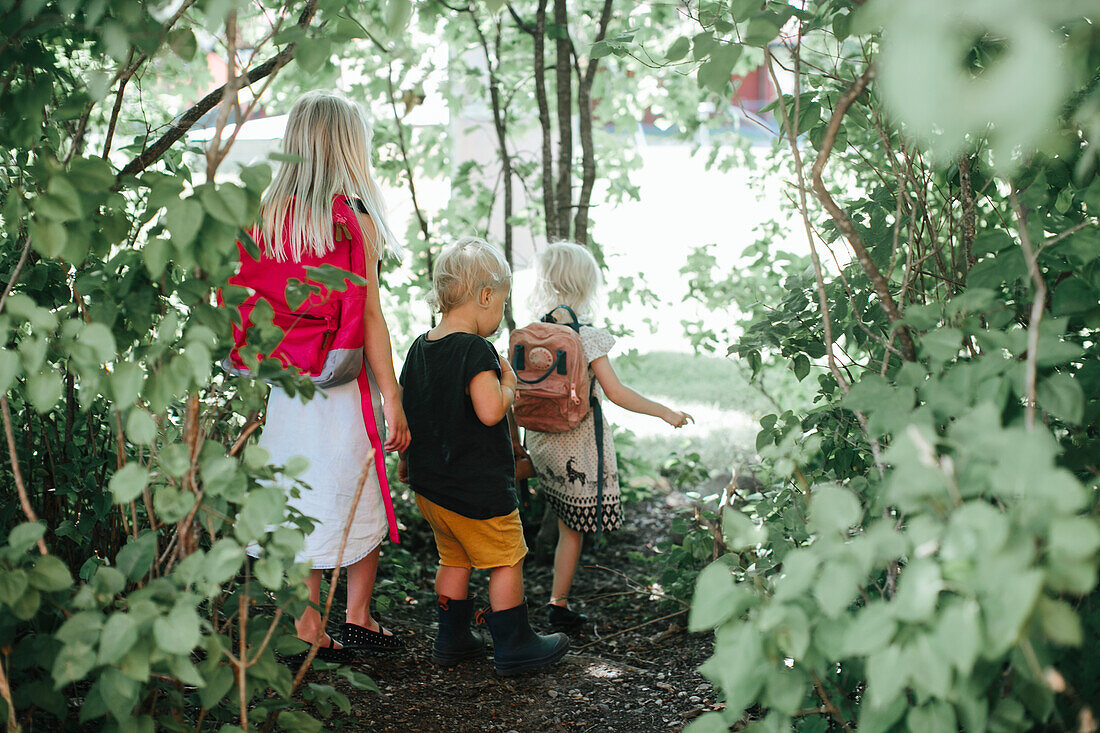 Children walking through woods