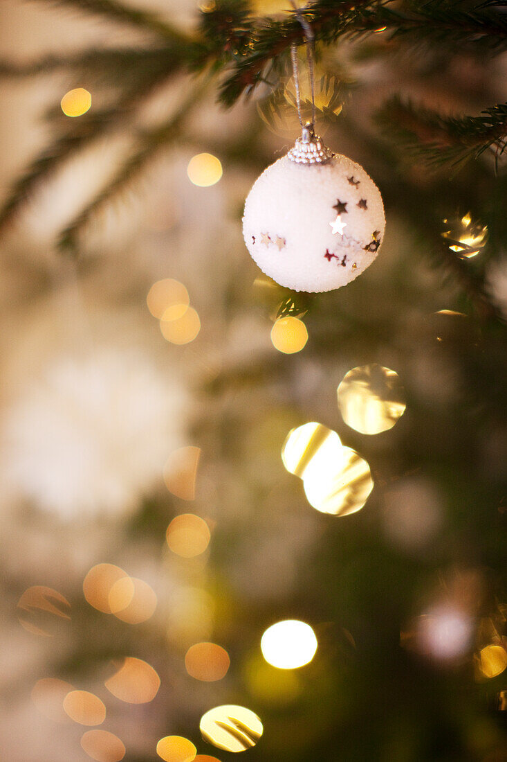 Christmas bauble on tree