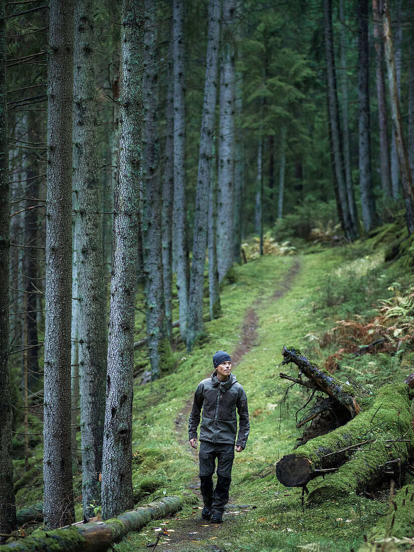 Mann wandert durch den Wald