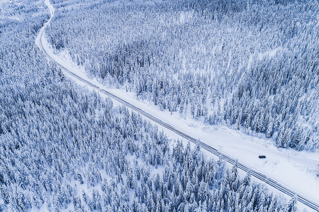 Winter road through forest