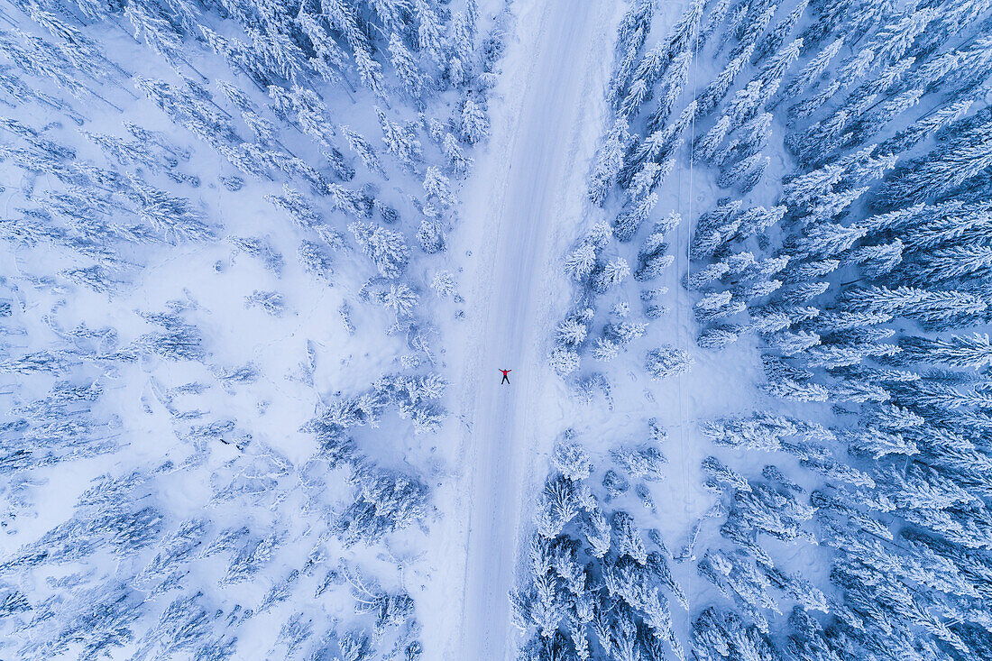 Winter road through forest