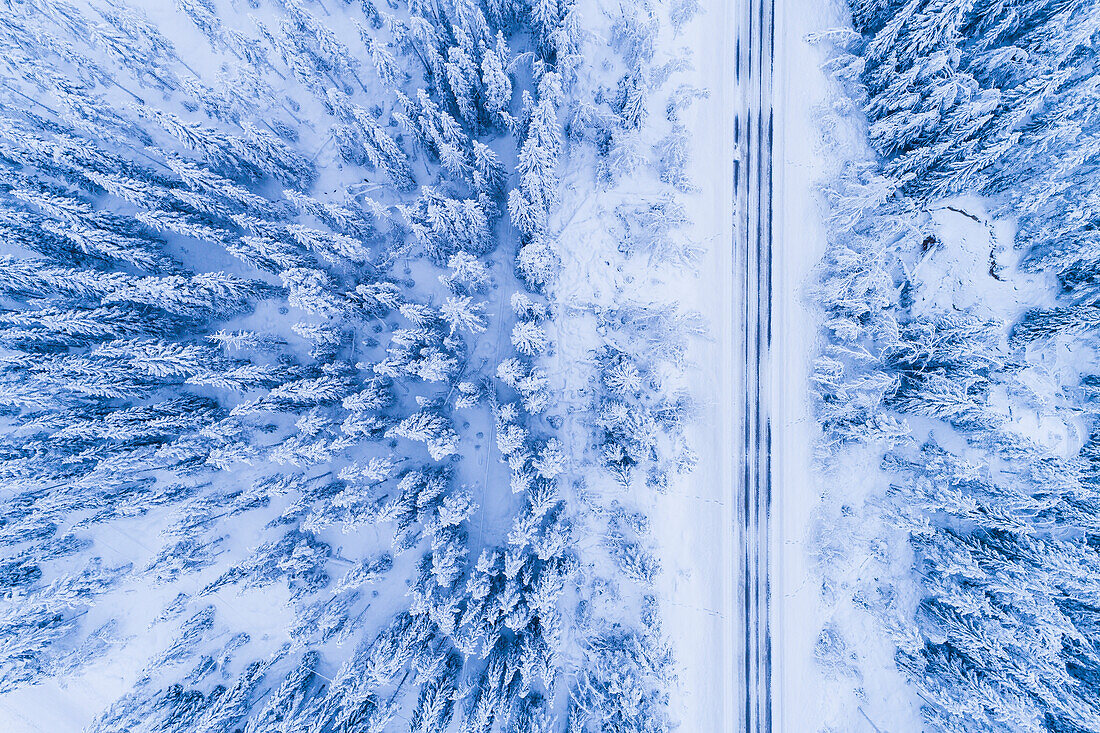 Winterstraße durch den Wald