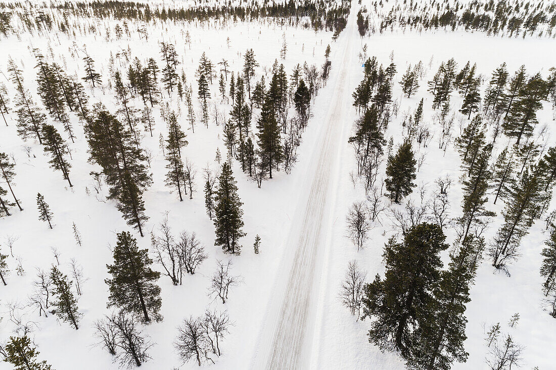 Country road at winter