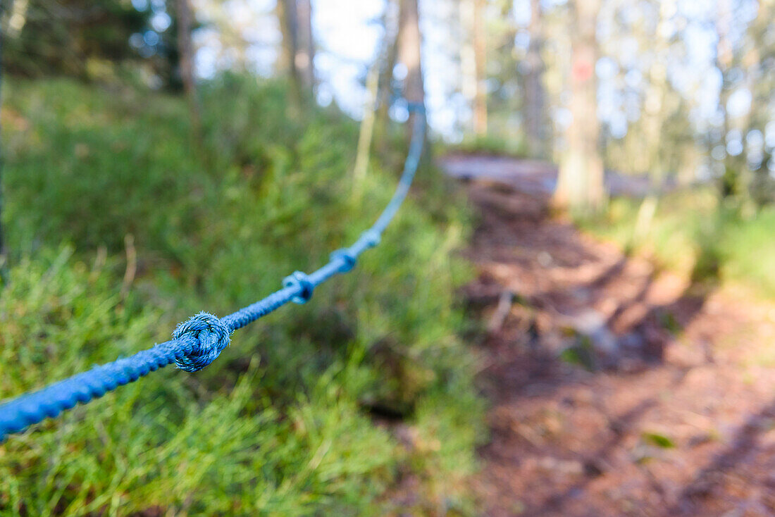Rope on hiking trail