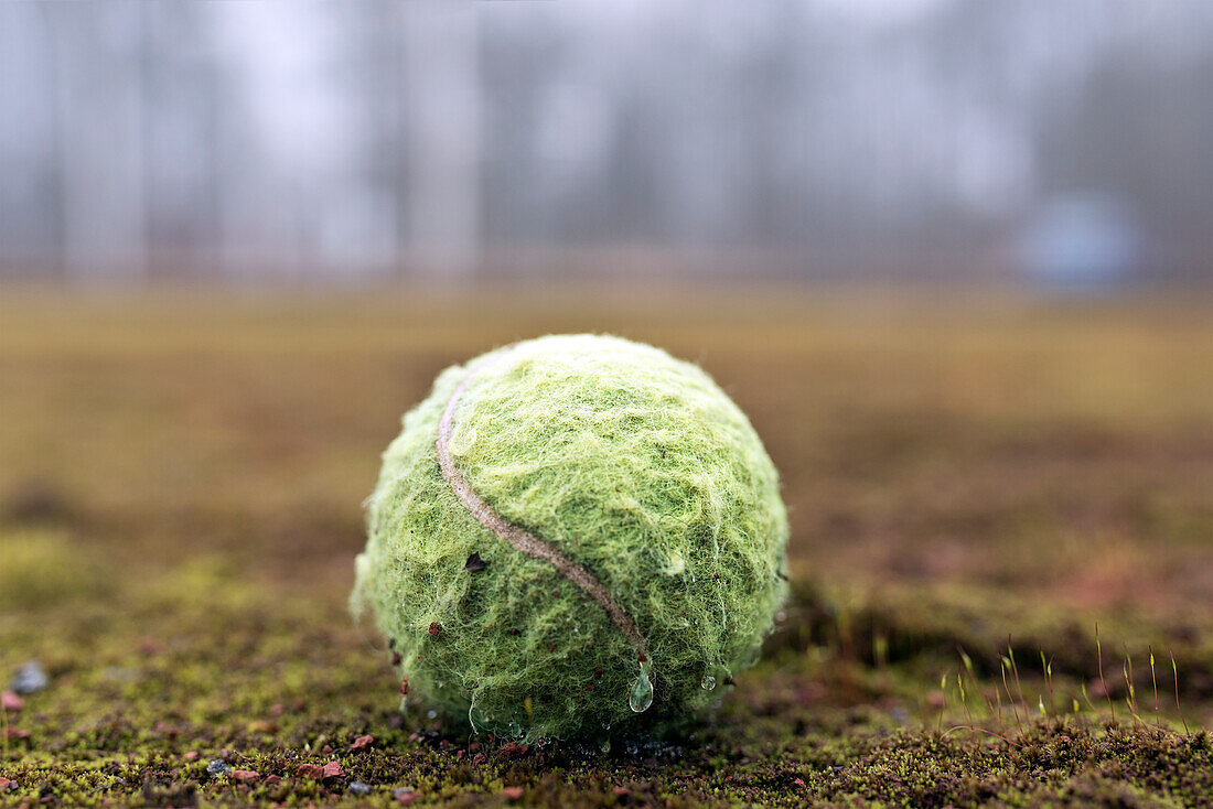 Tennis ball