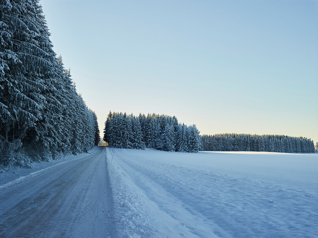 Landstraße mit Wald und Feld im Winter