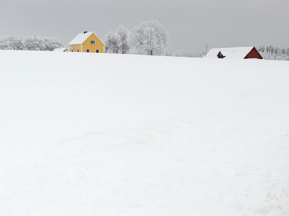 Winter landscape with snow covering houses