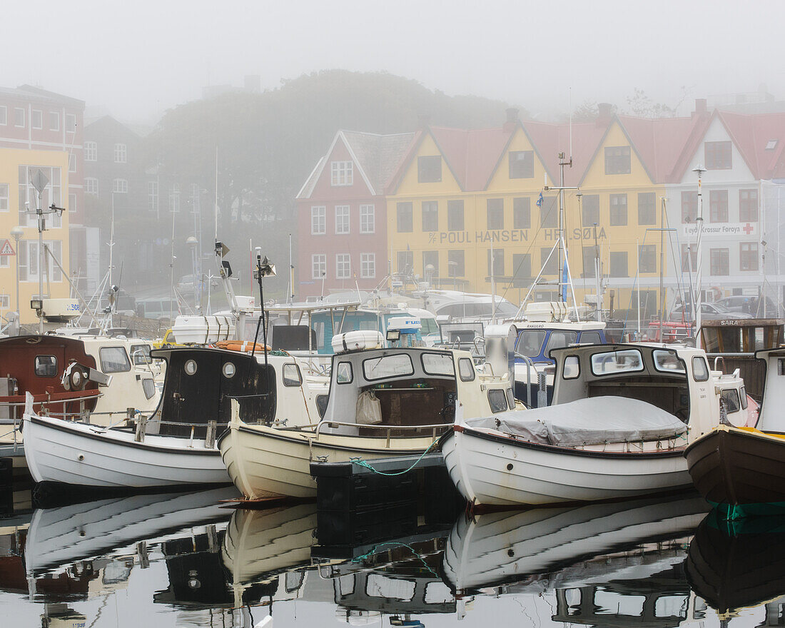 Moored fishing boats